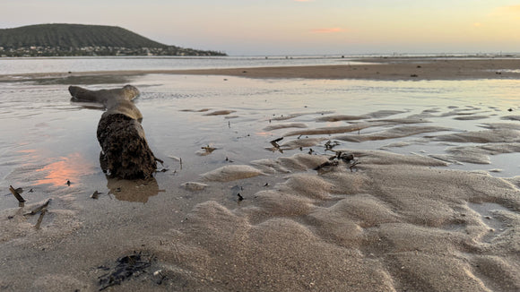 How I Used AI to Co-Create a Handcrafted Paint Collection: Behind the Scenes of Beachcomber – Tidal Echoes