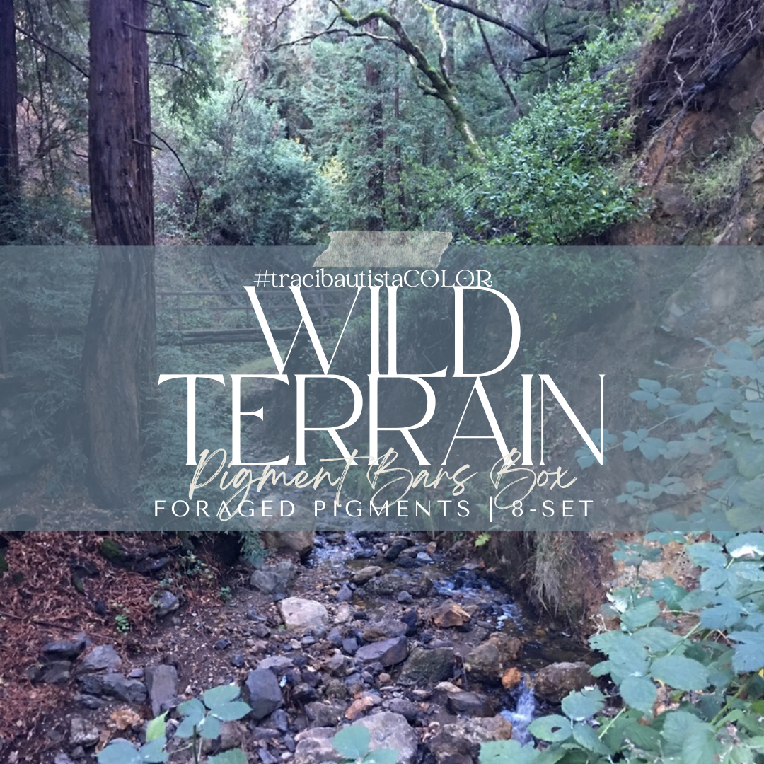 WILD TERRAIN pigment bars box {8-set} + LIVE workshop