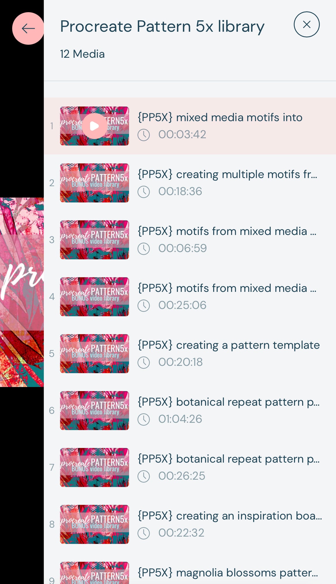 PROCREATE PATTERN workshop BUNDLE