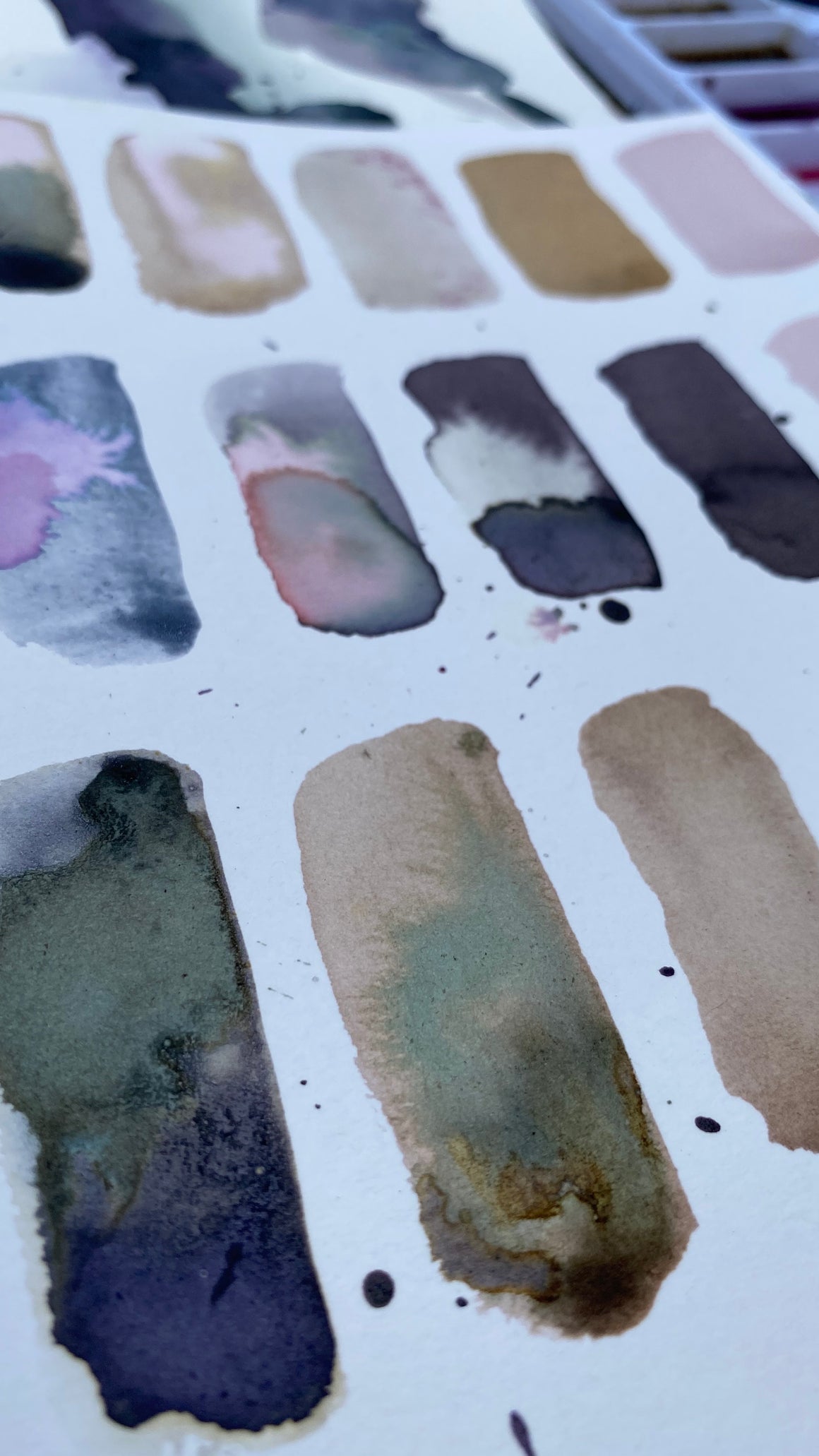 BOTANICAL wild inks {virtual workshop}