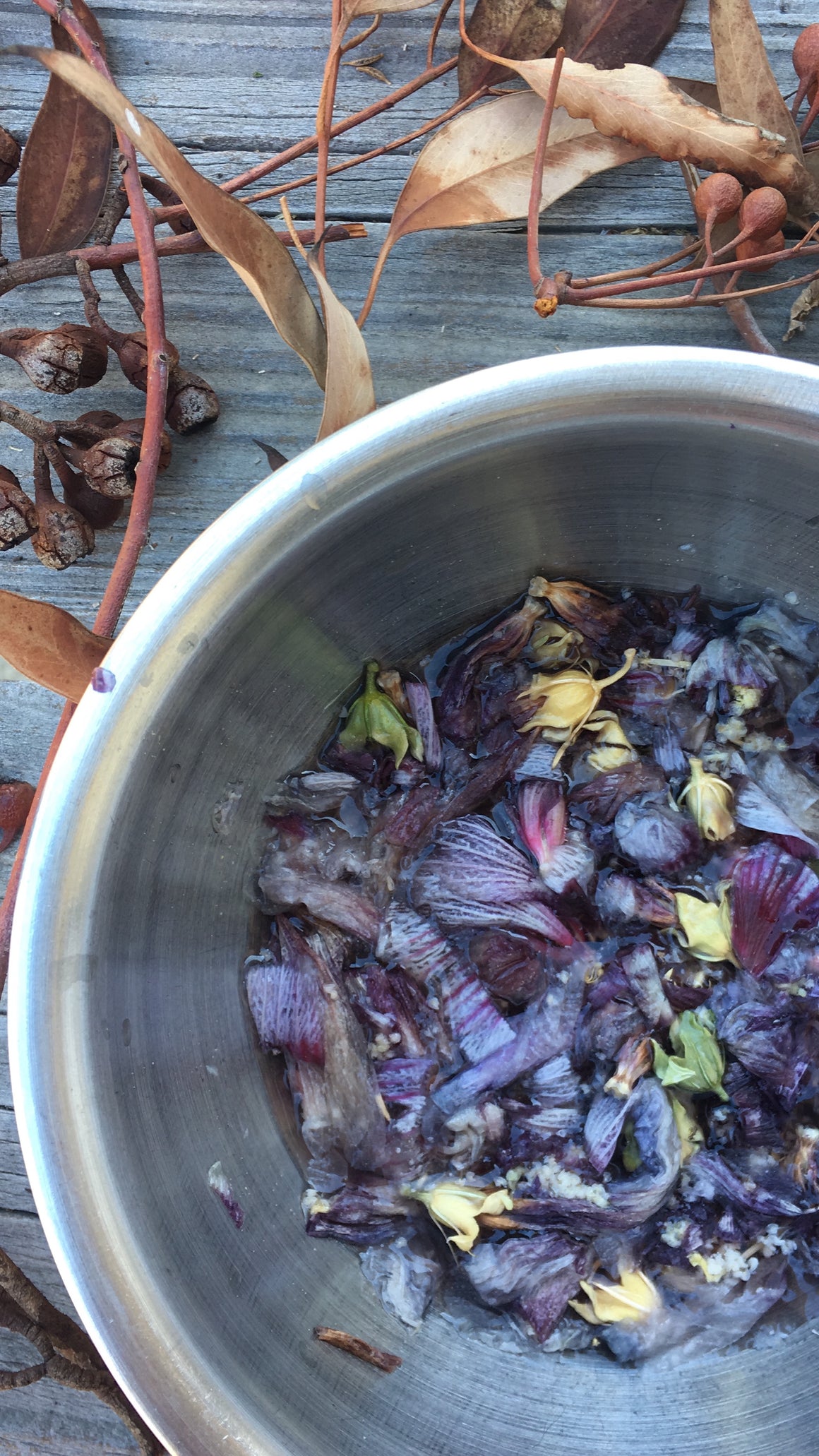 FALL BOTANICAL wild inks {virtual workshop}