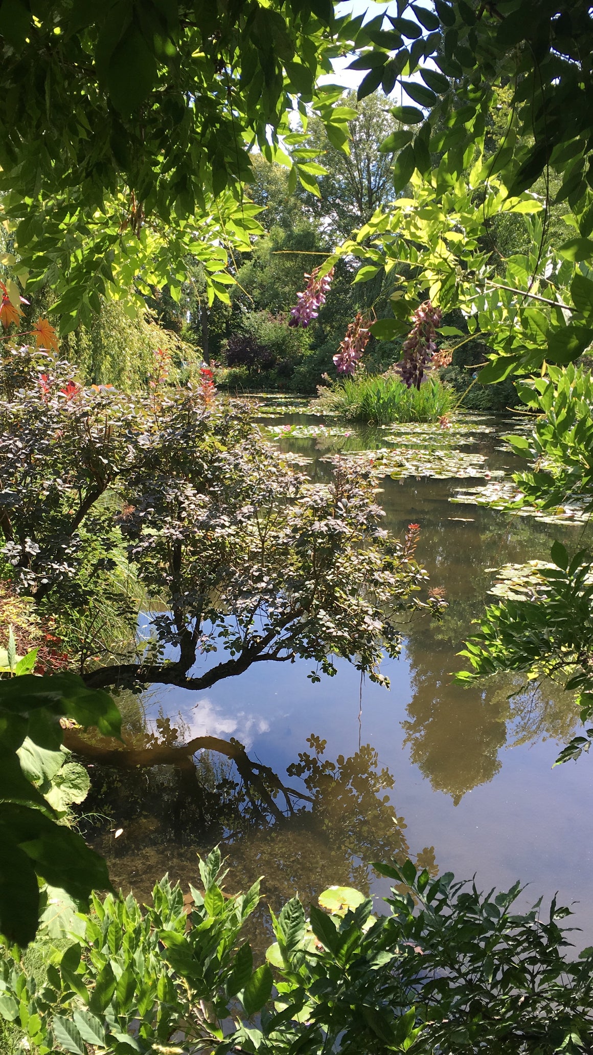#tracibautistaCOLOR ~ WILD BLOOMS pigment stones {5-set}