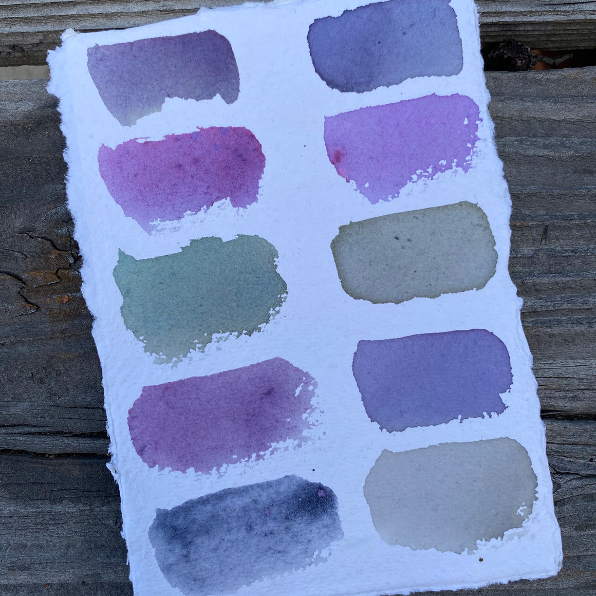 BOTANICAL wild inks {virtual workshop}