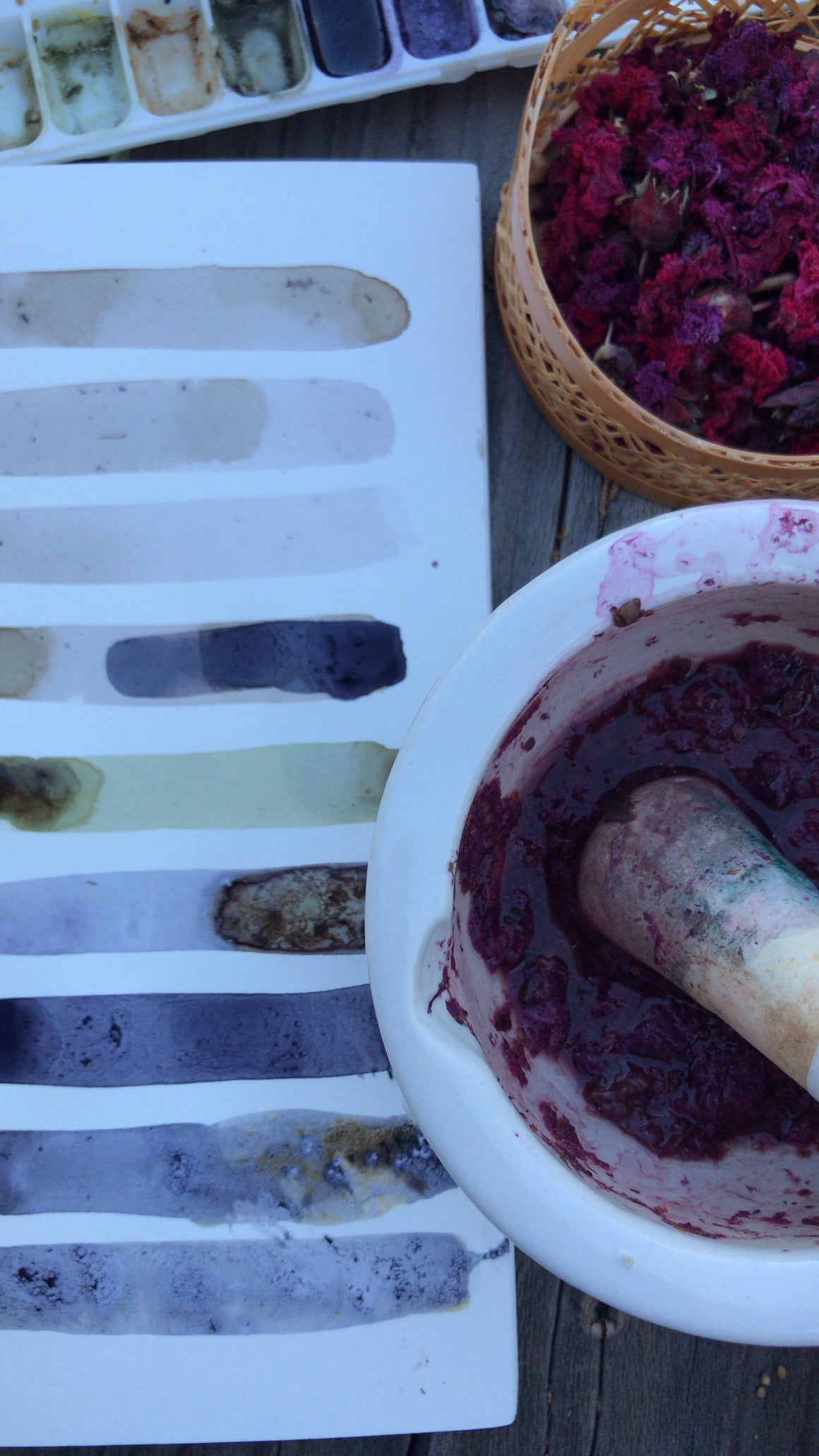 #tracibautistaCOLOR ~ MISC MIX WILD Botanical ink 3 set {15ml}