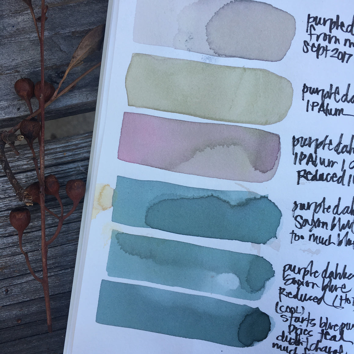 #tracibautistaCOLOR ~ MISC MIX WILD Botanical ink 3 set {15ml}