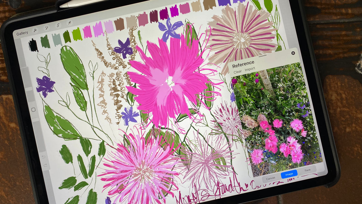 PROCREATE PATTERN workshop BUNDLE