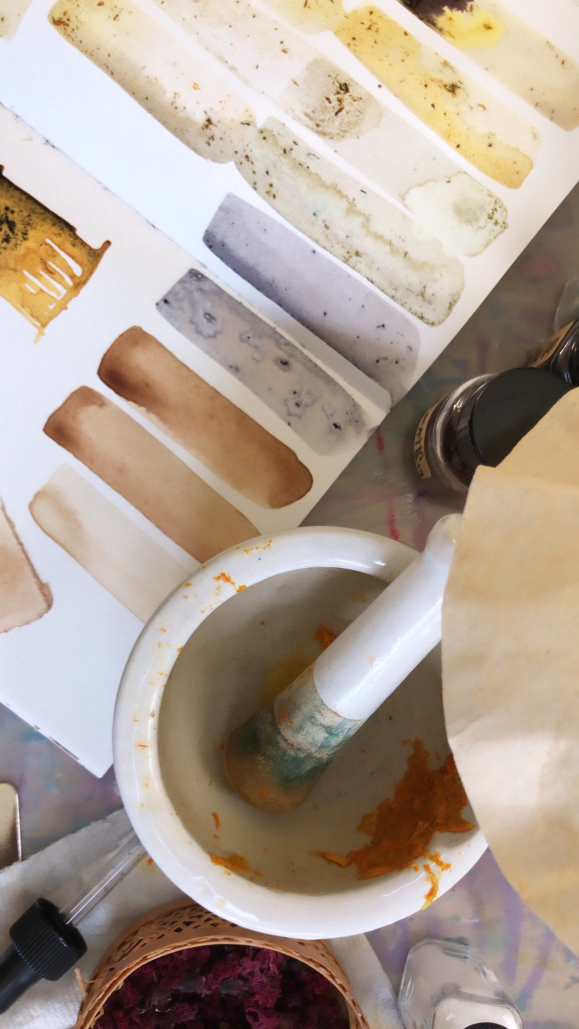 #tracibautistaCOLOR ~ MISC MIX WILD Botanical ink 3 set {15ml}